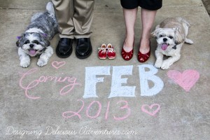Coming Soon- Our Pregnancy Announcement